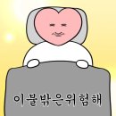 [1주년💛] 떠나쟈 강릉여행 🌊 _ 라미아까사풀빌라 나운칼국수 중앙시장 배니닭강정 초당110 순두부젤라또