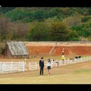 점촌목장 이미지