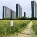 BHC치킨 증평점 이미지