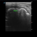 상일 쓰담쓰담 동물병원 이미지