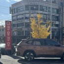 초밥천국 | 🍣남양주 화도읍 맛집 <쿠우쿠우 마석점> 후기 – 초밥 덕후의 천국 발견!