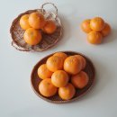 행복농장 3 | 제주농장 직송 제주왓귤농장 천혜향 3kg 후기 당도가 끝내줘요