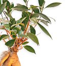 영전농장 이미지