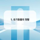 강아지분양 애견입양 아이러브독 수원점 말티푸미니비숑포메 이미지