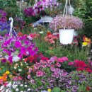 타샤의 정원 이미지