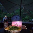 법수치오토캠핑장 이미지