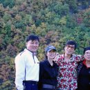 정선프란치스꼬의집