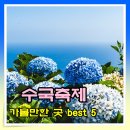 UR(광주광역시)-하-2070 | 6월 ~ 7월 수국축제 가볼만한 곳 best5 ( 꽃축제, 수국 개화시기)