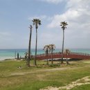 제주도 가족 펜션 오드리하우스 이미지