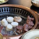 우테일러 이미지