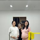 임학역 | 계양구 임학역 산후 필라테스 후기 :: 뉴이필라테스 듀엣수업 내돈내산