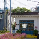 파니 게스트하우스 이미지