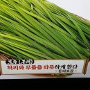 영광채소