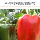 진월농장 이미지