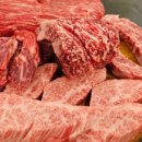 손건호의 한우일번지 이미지