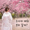 매화1공원 | 일본 오사카 여행 2월 가볼만한곳 오사카성 매화부터 숨은 BEST5