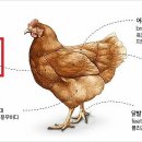 황금식품