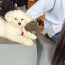 유동물원 | 제주도 애월 동물원 새별프렌즈