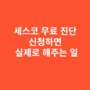 세스코 무료 진단 신청하면 실제로 해주는 일