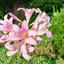 자연아 놀자 이미지