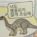 노량진 유도체육관 | 주짓수 배울 때 첫날엔 뭐부터 하나요? <초보자 가이드>