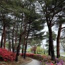 시립박물관 야외공연장 이미지