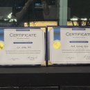 팀하드 피티 이미지