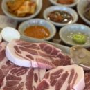 고반식당금