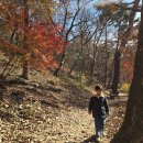 진관사입구 공중화장실 | 서울 은평구 산책하기 좋은 단풍 명소 진관사(주차장)