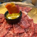 [청주 맛집] 분위기, 느좋 술집 육회공방 내돈내산 차돌육사시미 투뿔육회 뭉티기 솔직후기