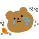 지트코리아 이미지