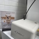 멍테일즈 이미지