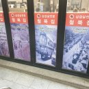 수지냉삼