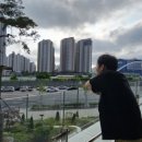부에르 이미지