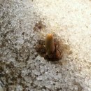 새싹몬테소리 어린이집 이미지