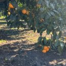 남원읍-126 이미지