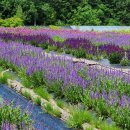 설구산방 이미지