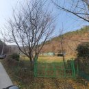 진하공인중개사사무소 이미지