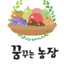 꿈꾸는 농장 이미지