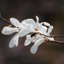 나무랑 풀이랑 이미지