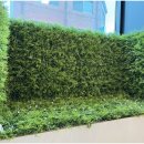 월드타운 이미지