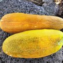 수룡동경로당 이미지