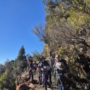 7월 11일 Karaka Track (Thames) 이미지