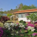 진안마이산 백제회관 이미지