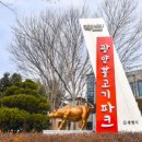 광양불고기 특화거리 이미지