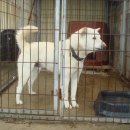 진도축산 이미지