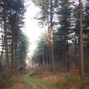 무지랭이 약수터 이미지