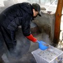 바닷물 손두부 이미지