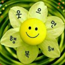 일광회타운 이미지