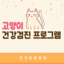 온정동물병원 이미지
